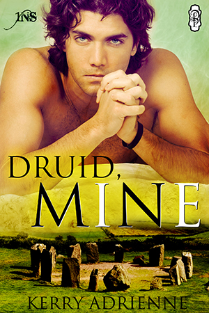 Anya’s wish for a normal date—away from the old man she is caretaker for—comes true in unexpected ways when she finds herself whisked to an ancient Irish stone circle on solstice eve.